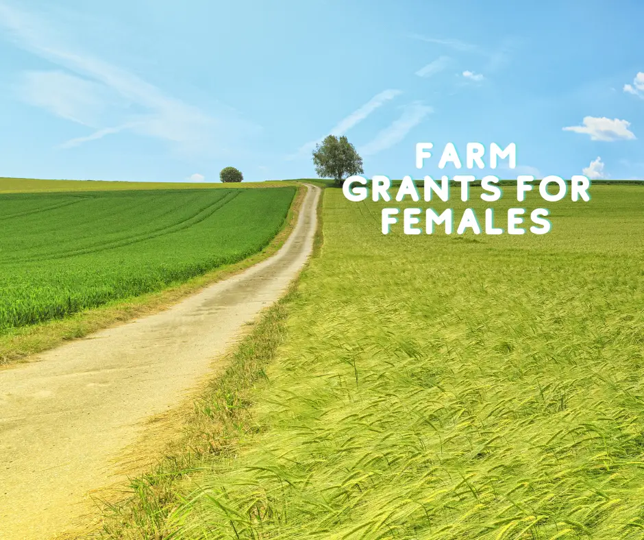 Farm Grants for Females Women in Agriculture Grants Easy Grants