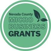 Nevada Small Business Grants
