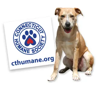 Fox Clinic Basics – Connecticut Humane Society