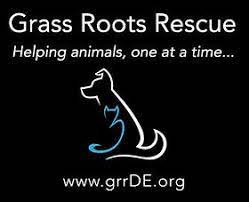 Grass Roots Rescue