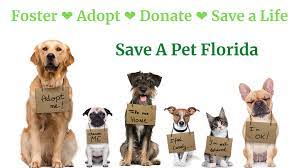 Save A Pet Florida