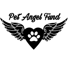 The Angel Fund Grant Help With Veterinary Care