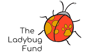 The Ladybug Fund